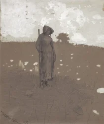 Nel campo